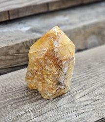 Stående spets, Golden Healer #7