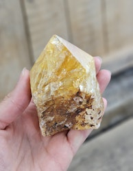 Stående spets, Golden Healer #7