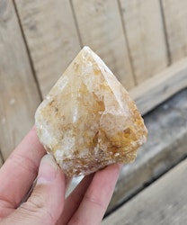 Stående spets, Golden Healer #13 (nagg finns)