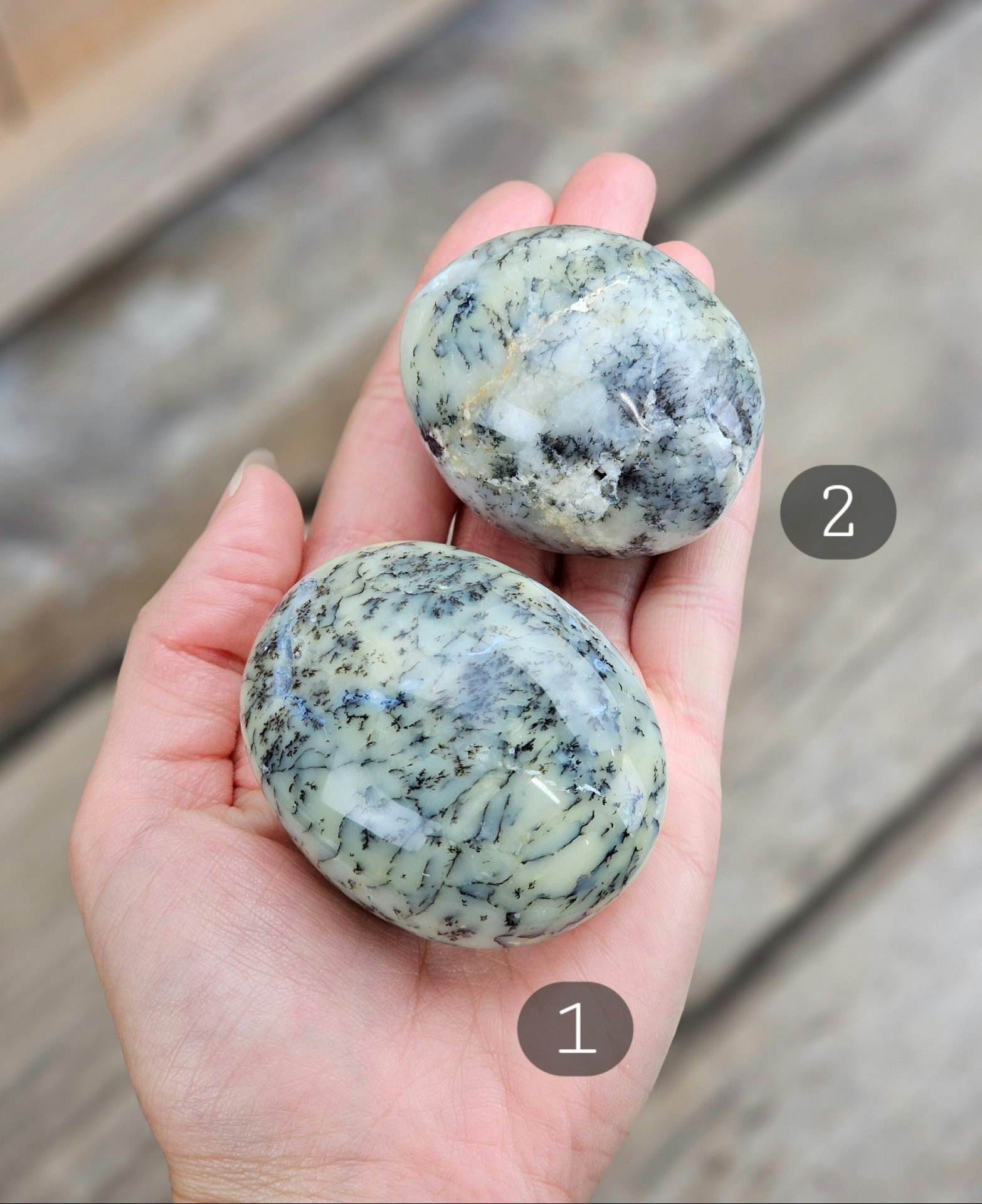 Dendrit Opal, stor touchstone #1-2