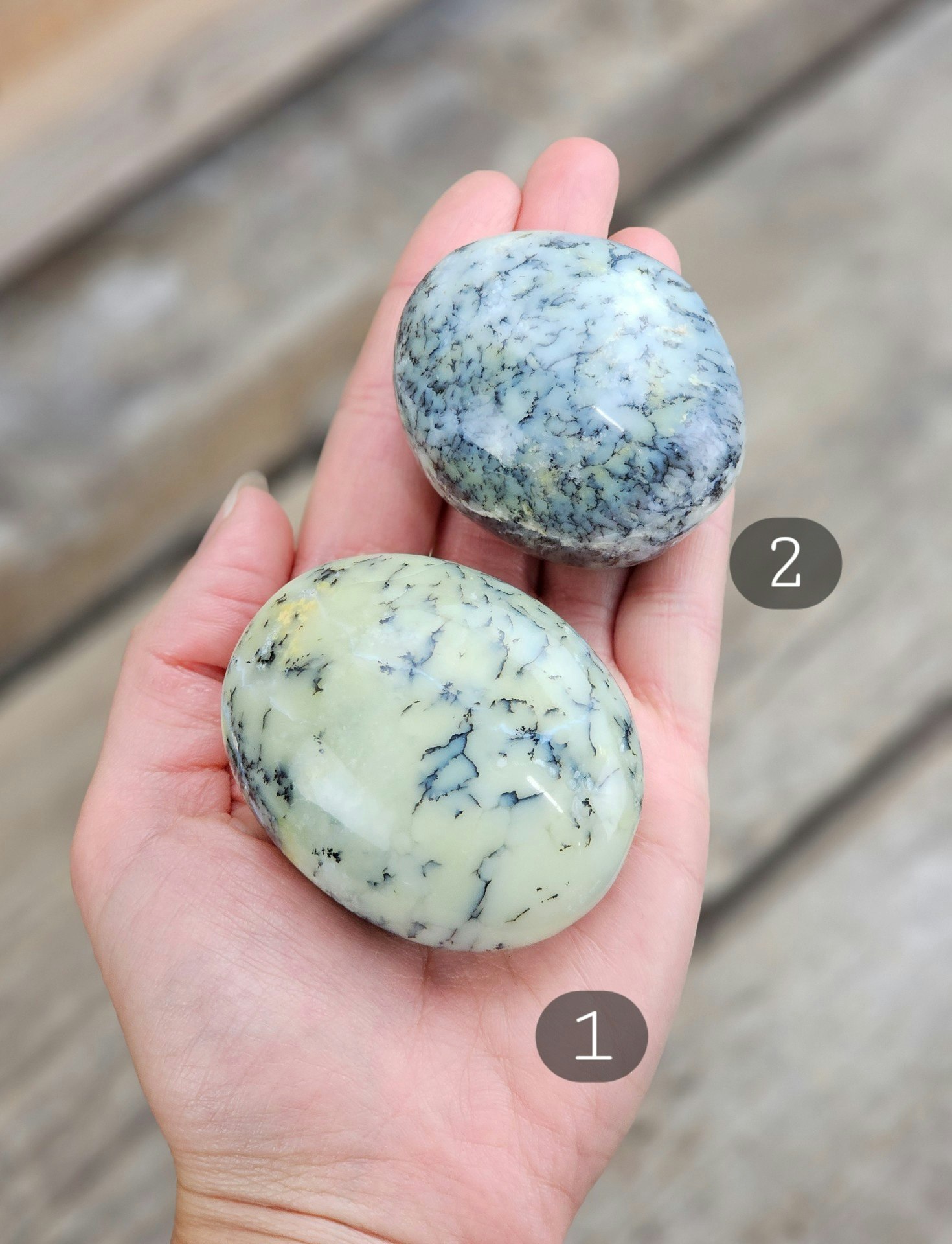 Dendrit Opal, stor touchstone #1-2