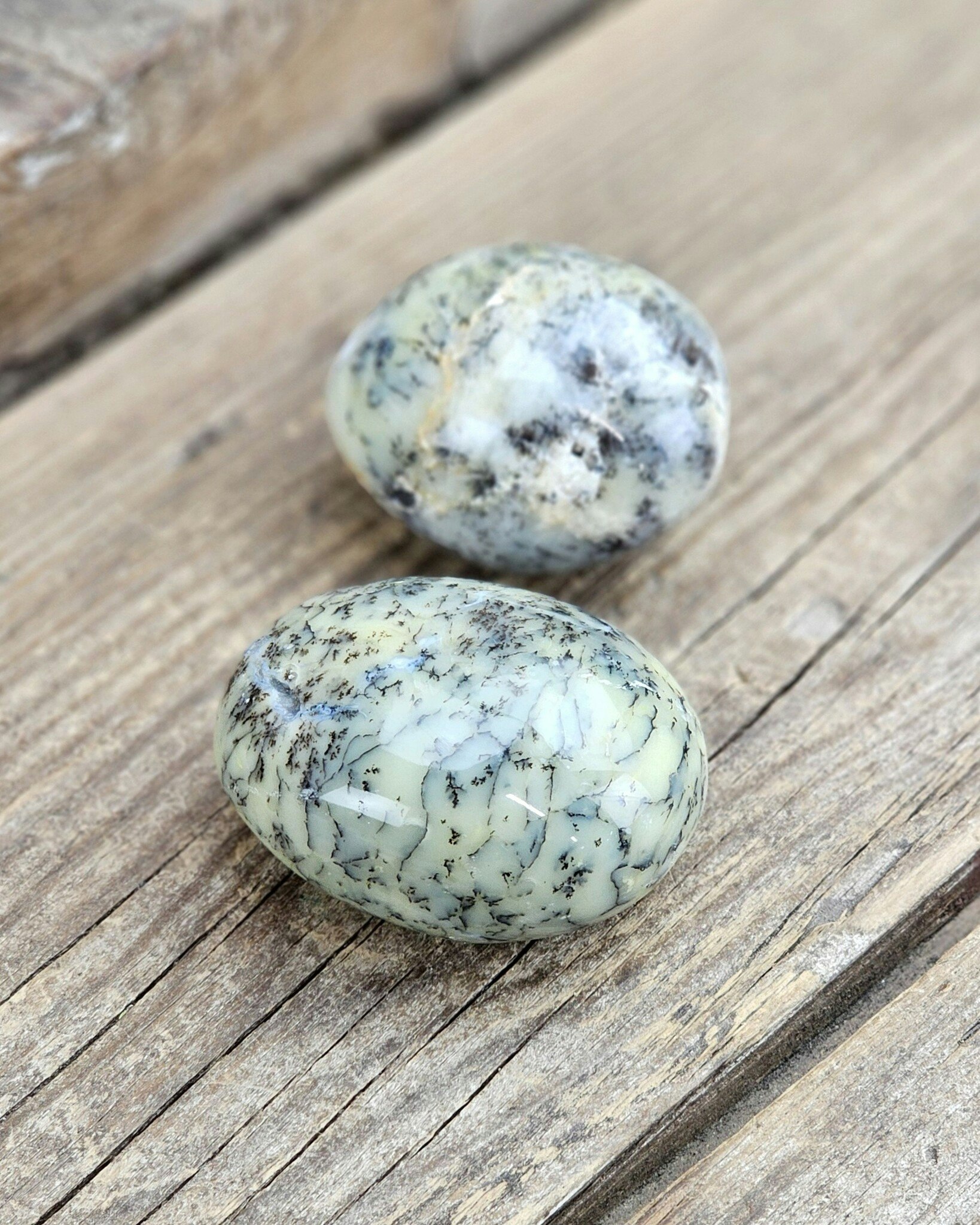Dendrit Opal, stor touchstone #1-2