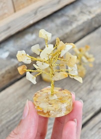 Kristallträd i Golden Healer, liten