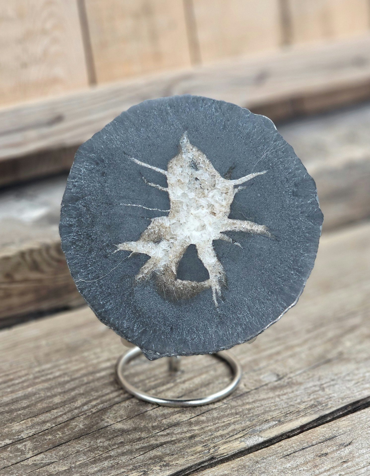 Metallställning för kristaller/fossiler, silver