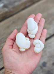 Menalit (Goddess Stone) #11