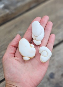 Menalit (Goddess Stone) #11