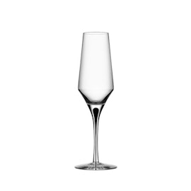Metropol Champagneglas, 27 cl, Orrefors