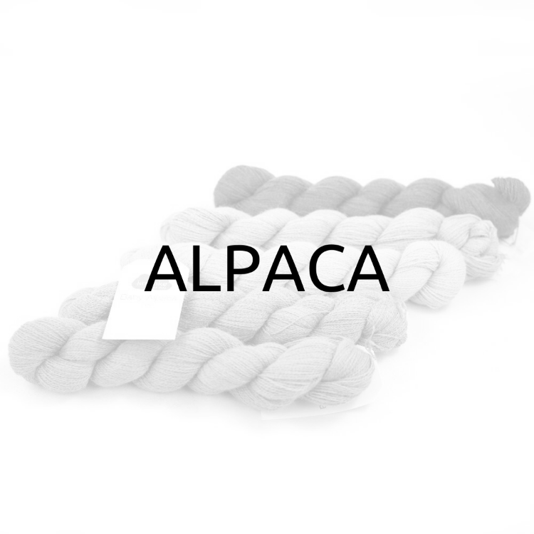 ALPACA - Yarnfinity