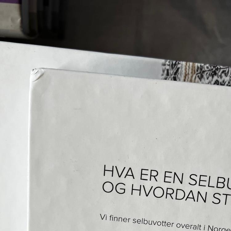 Selbuvotter (norska) - Transportskadad!
