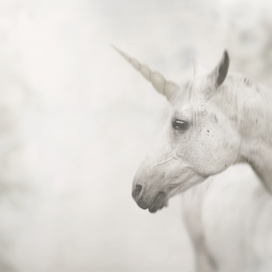 "Unicorn" Dubbelt kort 15x15cm
