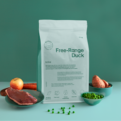 Free-range duck