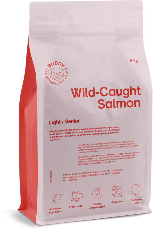 Wild-caught salmon