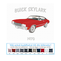 Buick Skylark, 1970