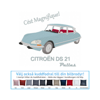Citroën DS Pallas