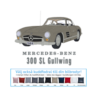 Mercedes Benz 300SL Gullwing, 1955