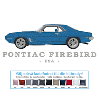 Pontiac Firebird V8, 1969