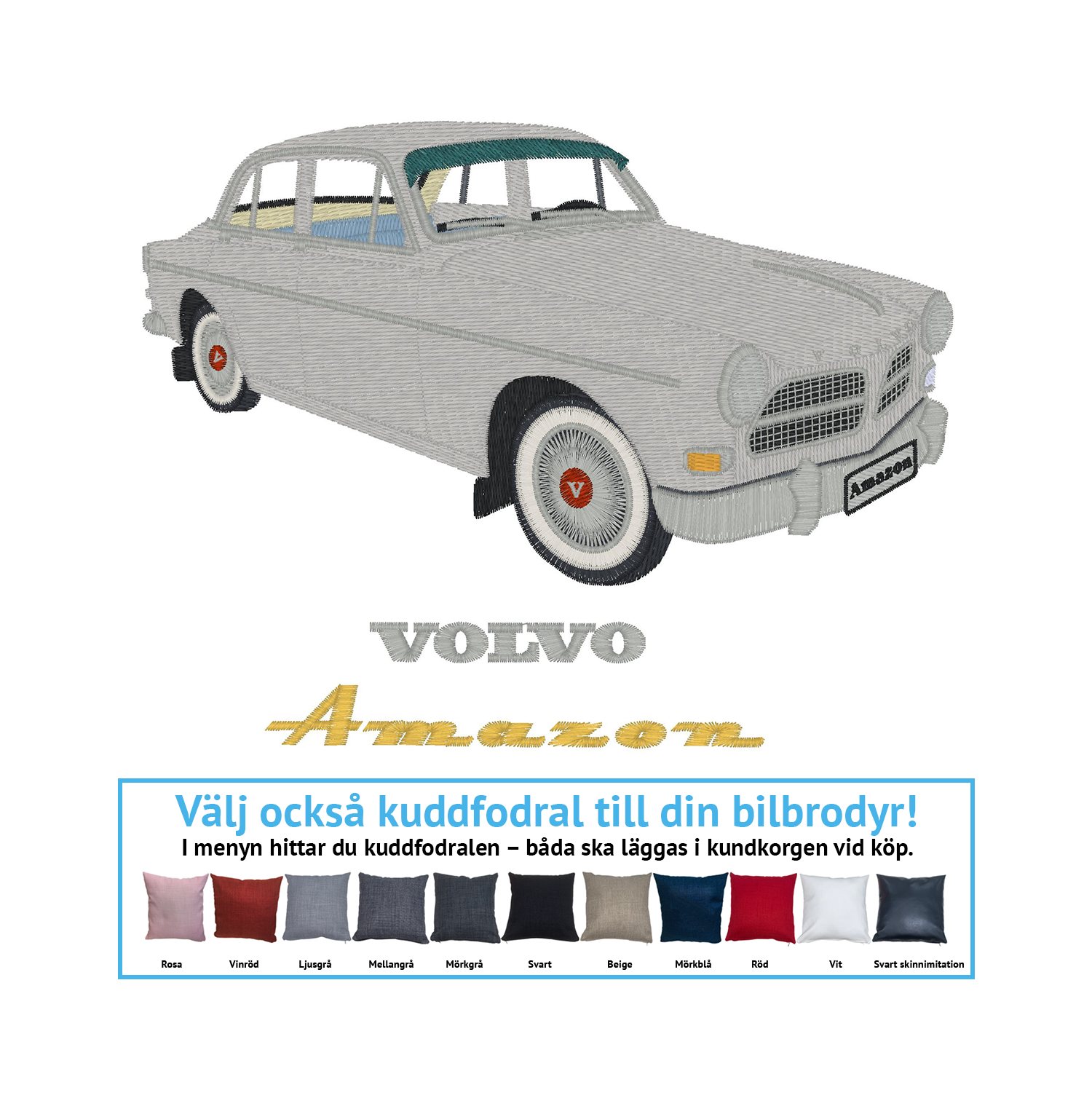 Volvo Amazon special