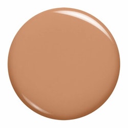 L'Oreal Infallible 24H Stay Fresh Foundation - Amber