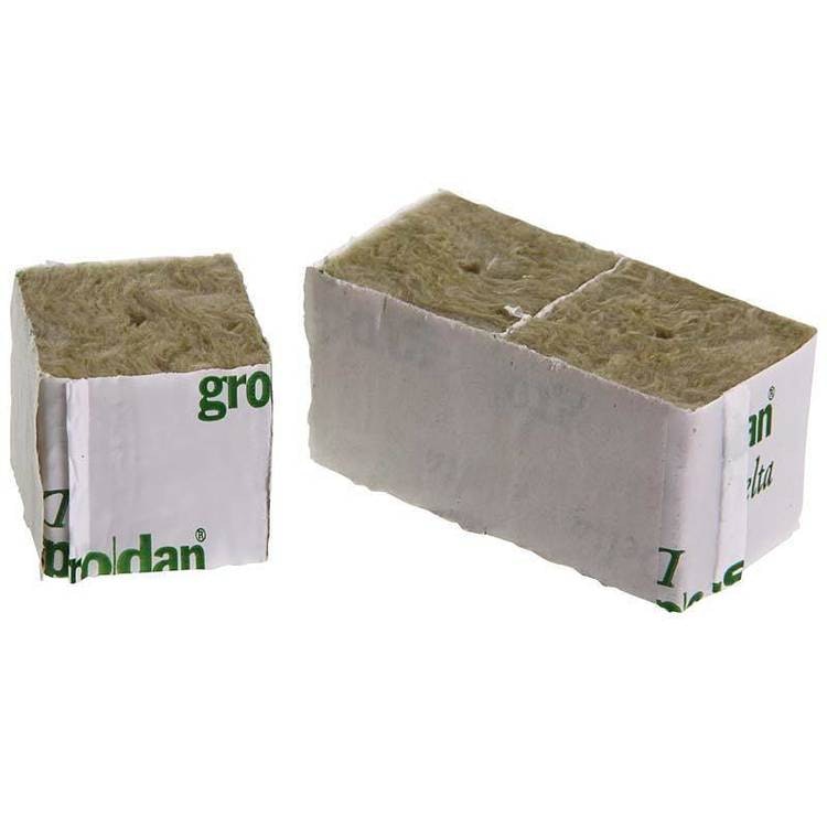 Grodan rockwool 4x4cm