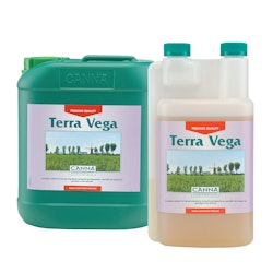 Canna Terra Vega