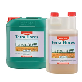 Canna Terra Flores