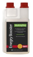 WD ENERGY BOOSTER 500ML