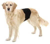 KISSKYDD HANHUND
