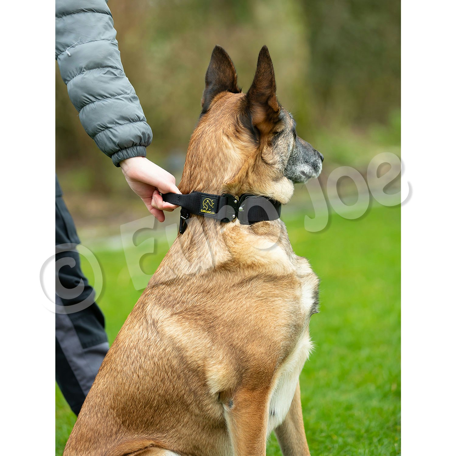 Euro Joe "Tactical Collar" 2.0 with handle