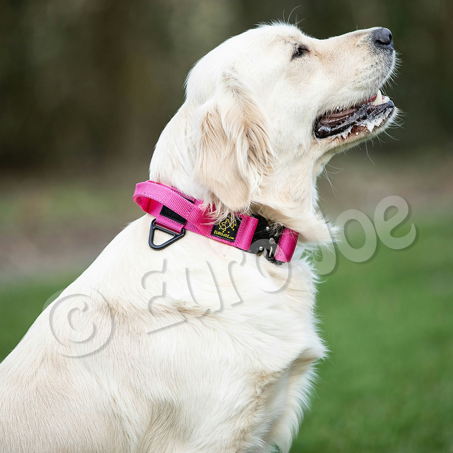 Euro Joe "Tactical Collar" 2.0 with handle