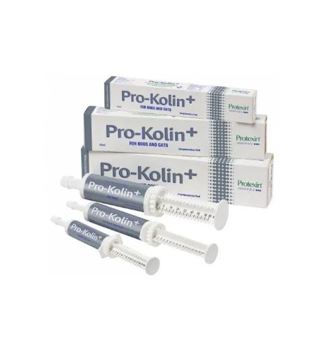 Protexin Pro-Kolin+ Probiotika Prebiotika Hund Katt 30 ml
