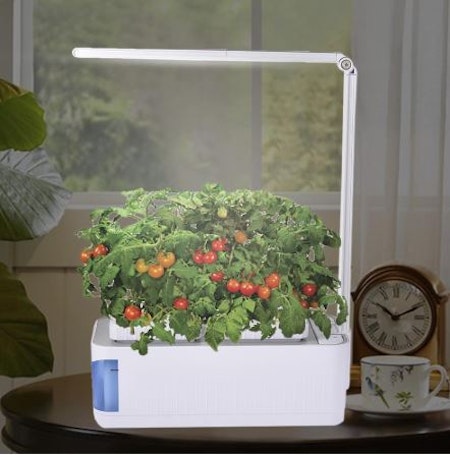 Odlare Mini Garden