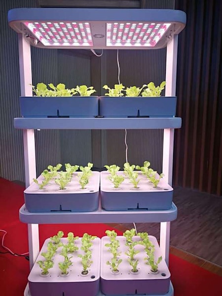 Odlingstorn 72 pods Hydroponic Hyllor Indoor Garden