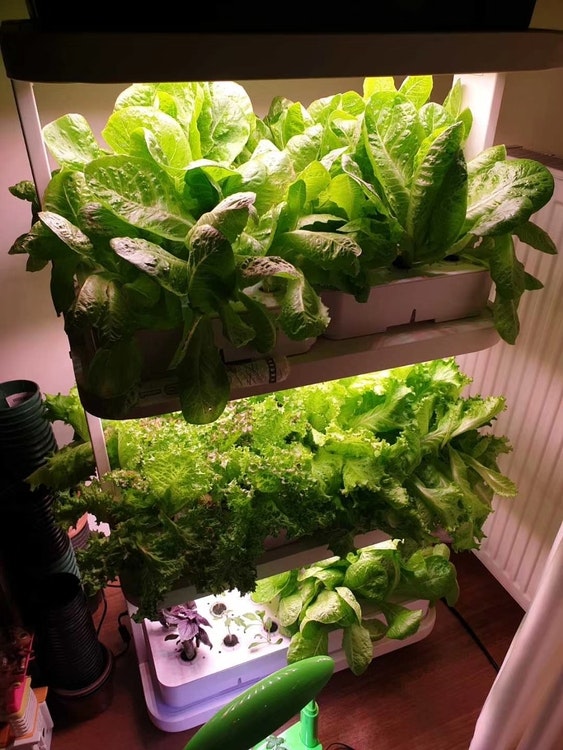 Odlingstorn 72 pods Hydroponic Hyllor Indoor Garden