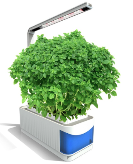 Odlare Mini Garden