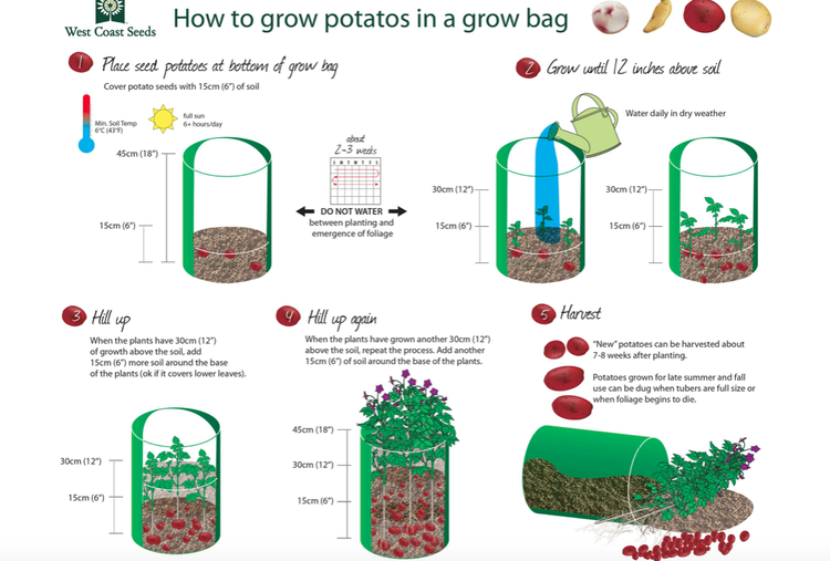 Odlare Potatiskorg -  potatoe's grow bag- 30 liter