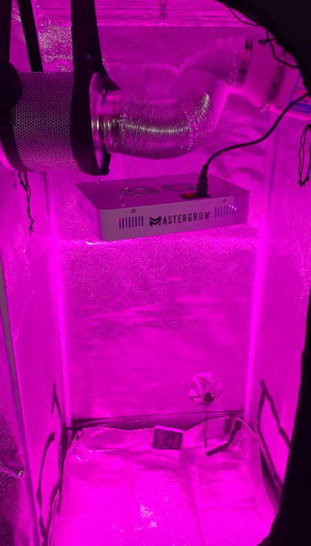 Odlare MasterTält Hydroponic indoor garden