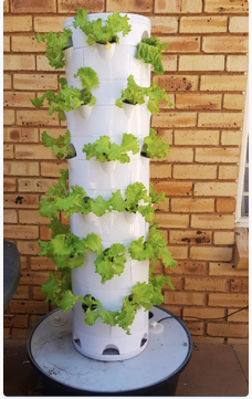 Hydroponic Growing Tower - Odlingstorn