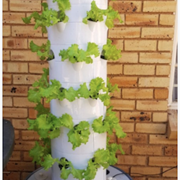 Hydroponic Growing Tower - Odlingstorn