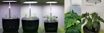 Odlingskruka Grow Pot Hydroponic LED
