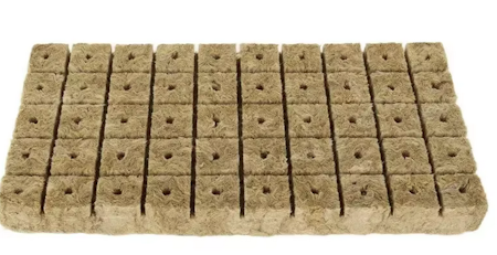Odlingspluggar Rockwool 30x30x30mm