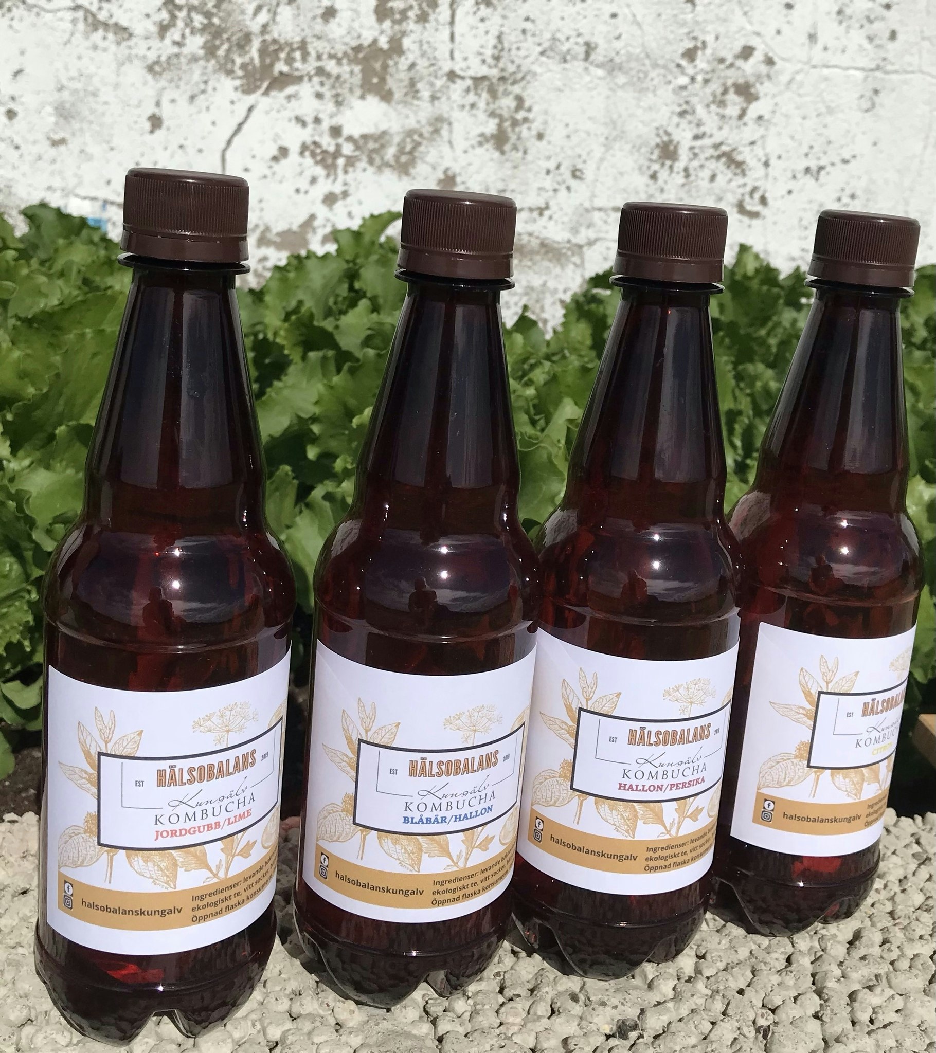 Kombucha Blåbär & Hallon 0,5 l