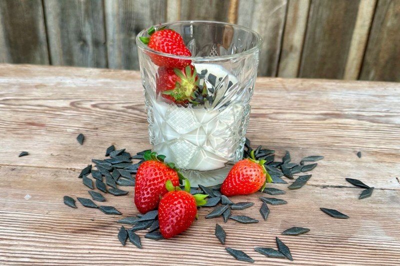 Recept: Lakritspannacotta
