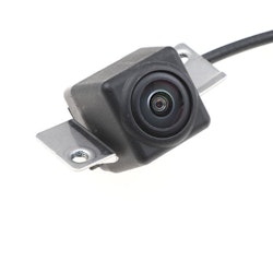 Backkamera Model S 100677300FAA