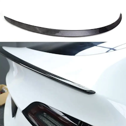 Spoiler Performance Model 3