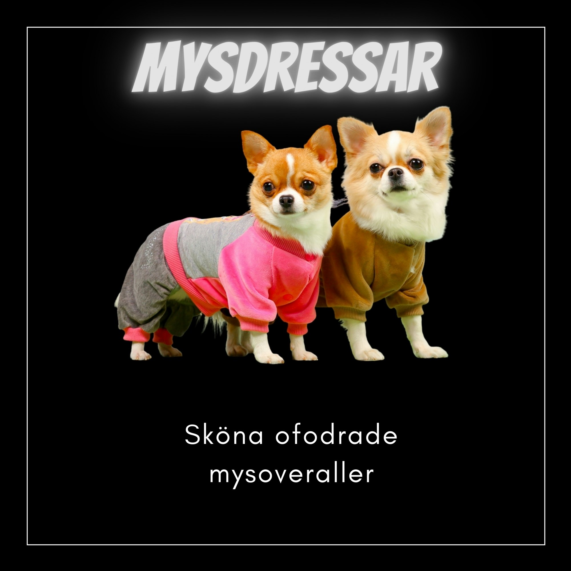 Suits & Mysoveraller - Kortbenta & Långryggade Hundar - Passion For Pet Fashion