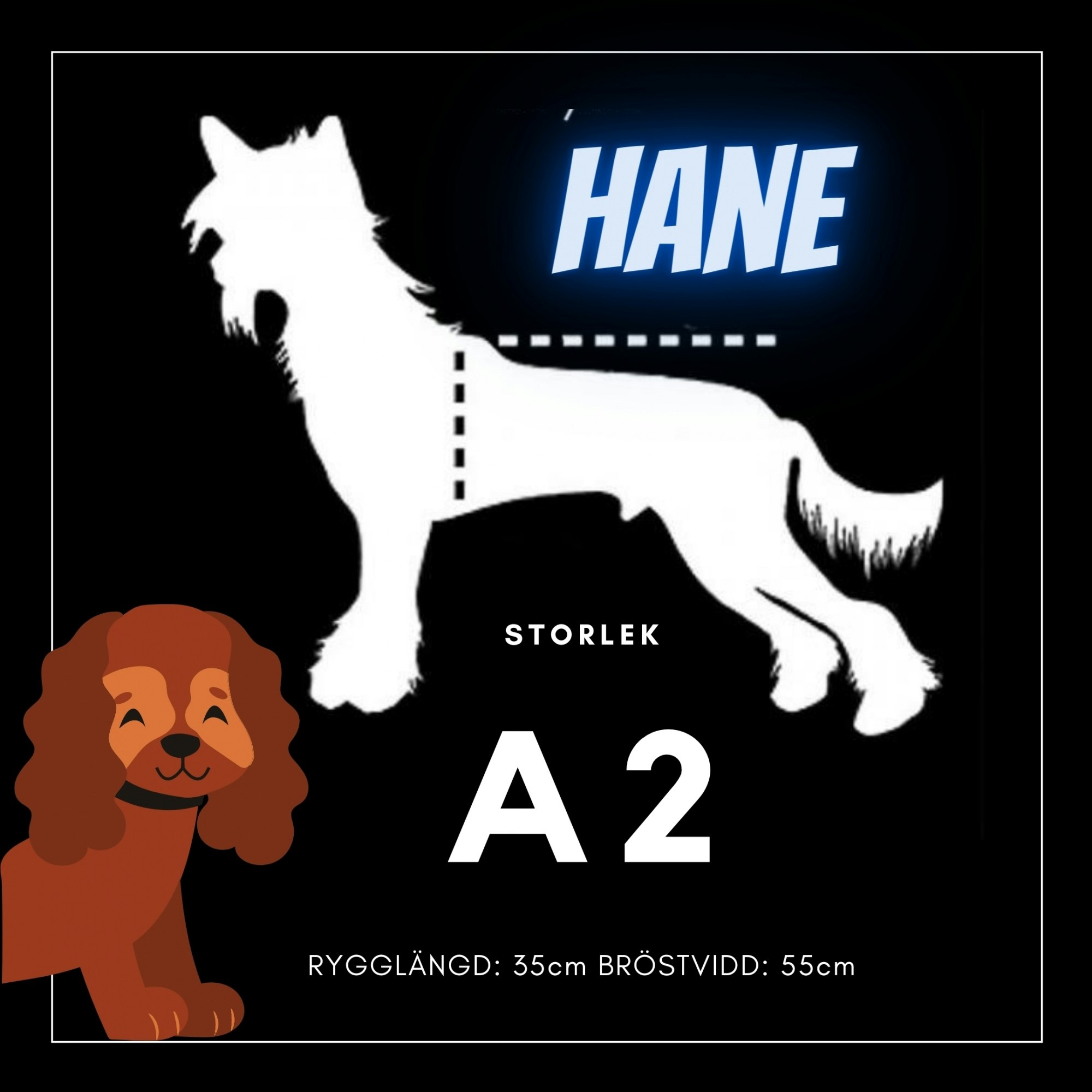 Hane Storlek A2 - Passion For Pet Fashion