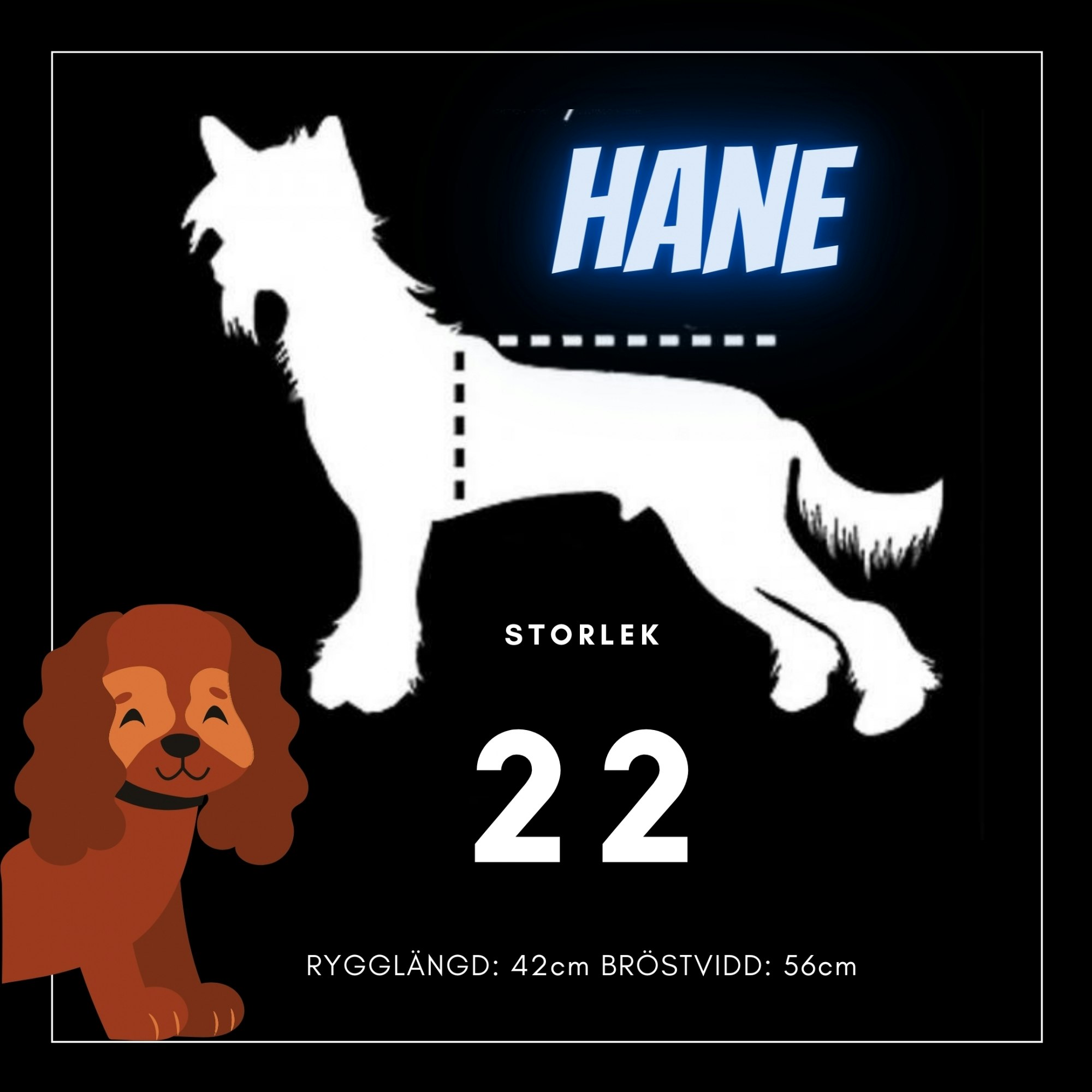 Hane Storlek 22 - Passion For Pet Fashion