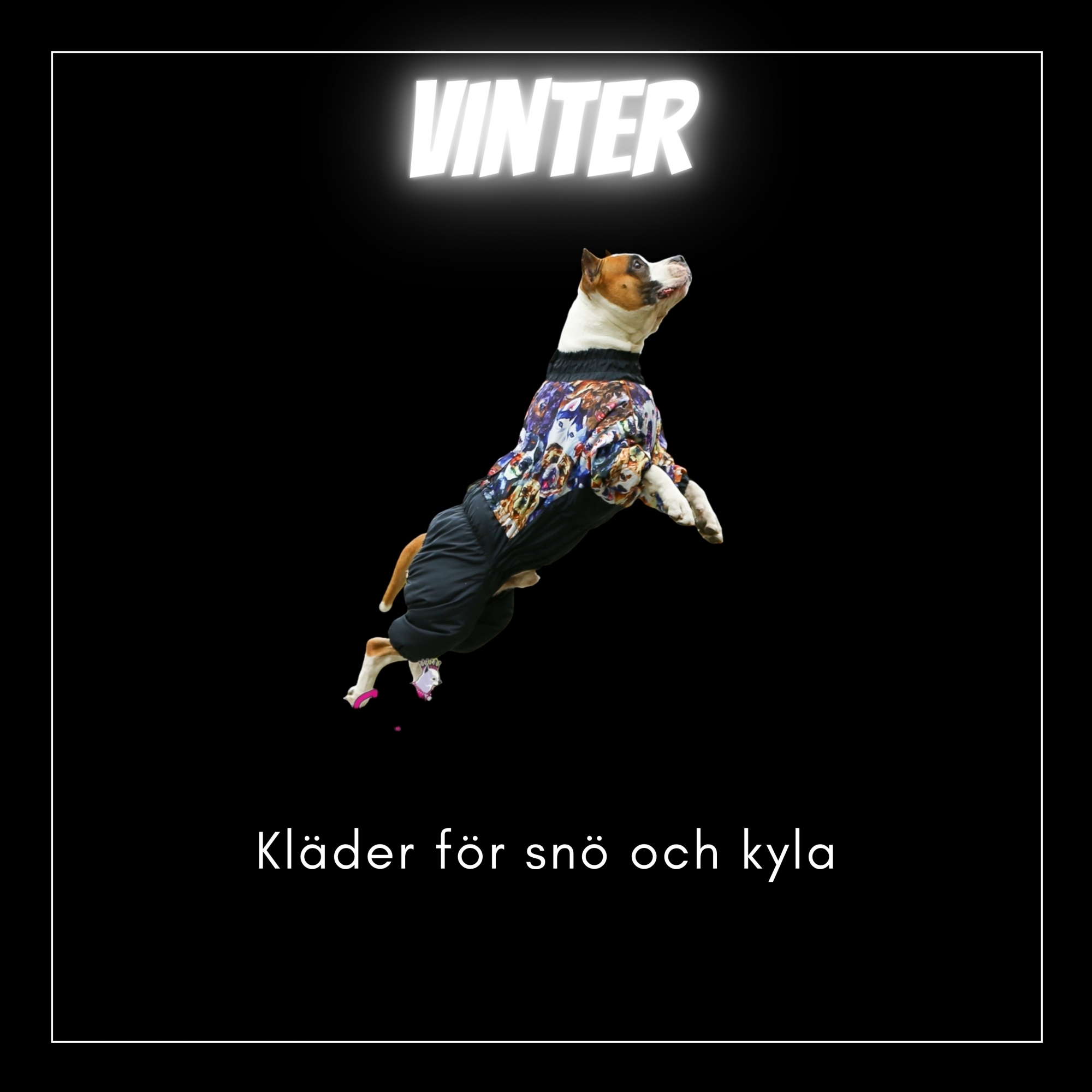 Vinterkläder - Kortbenta & Långryggade hundar - Passion For Pet Fashion