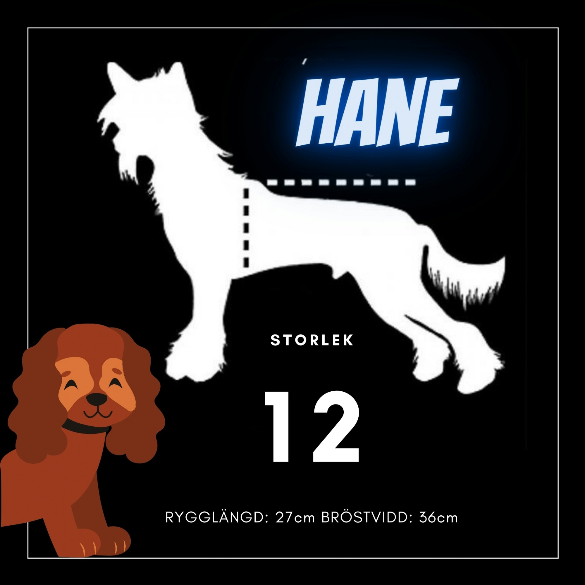 Hane Storlek 12 & 12Chh - Passion For Pet Fashion