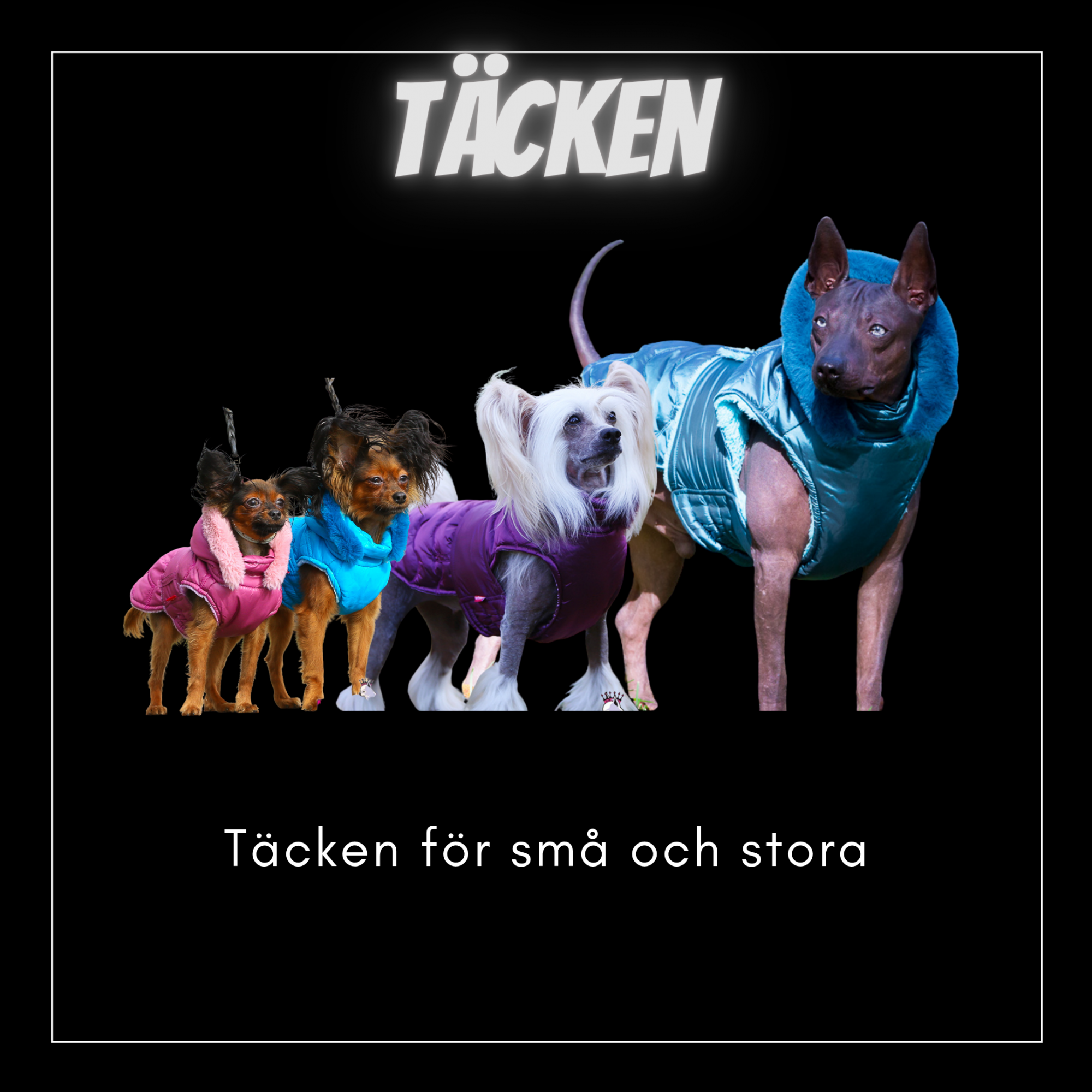 Täcken - Bred & Djupbröstade hundar - Passion For Pet Fashion